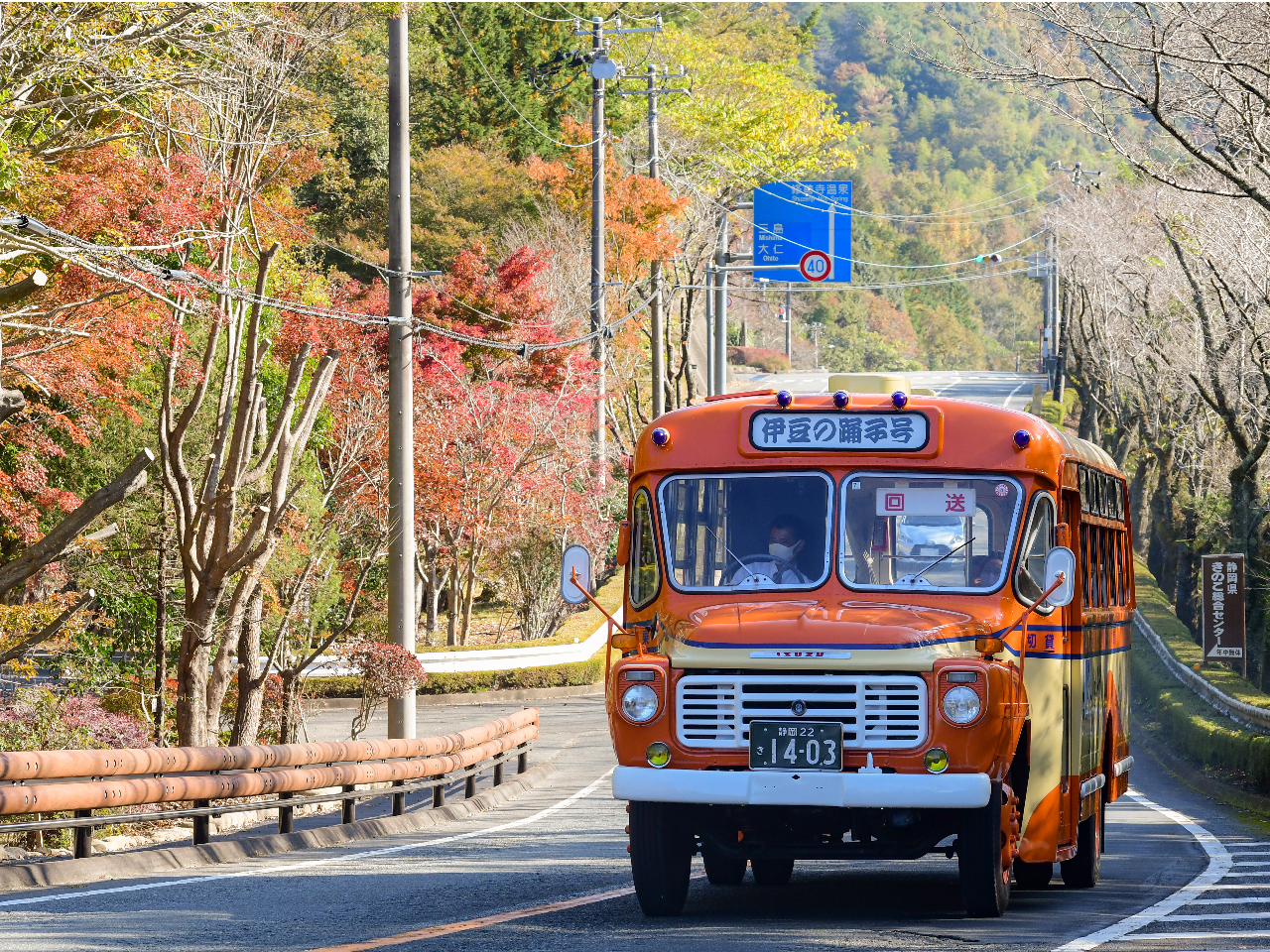 三島駅北口×ボンネットバス「伊豆の踊子号」で行く】 天城文学散歩