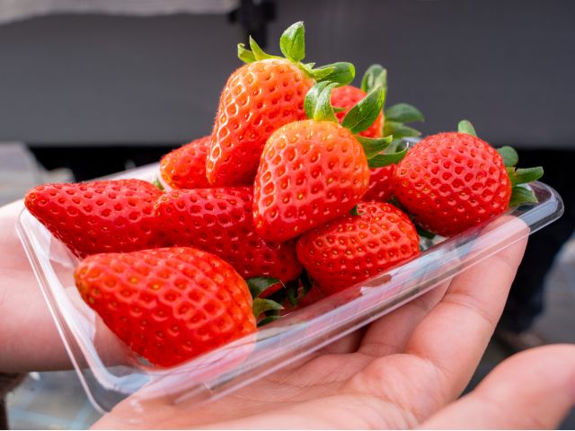 甘さとコクが自慢の冬の完熟いちご