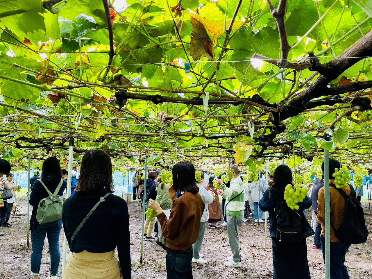 30HוłԂǂ񏢂オĂB