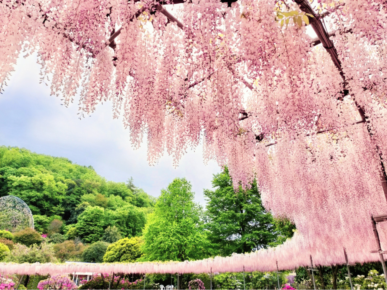 ���������t�����[�p�[�N�i100���؍݁j