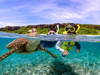 高性能水中カメラで撮影!ウミガメと一緒に写真を撮ろう!!