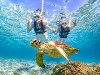 高性能水中カメラで撮影!ウミガメと一緒に写真を撮ろう!!