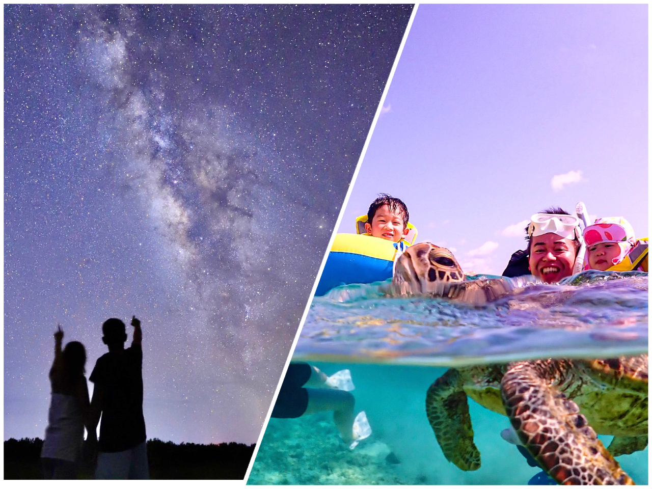 �Ƒ��ɑ�l�C�̃Z�b�g�v�����I�I�@�����������邱�Ɖ\�ł���