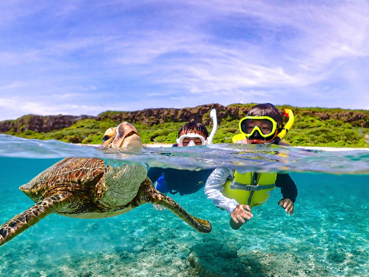 �r�[�`�G���g���[�T���ŁA�����I�H