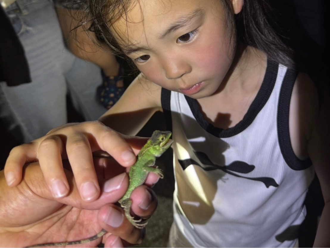 �������̂�A�A���̎�ނ����낢��I