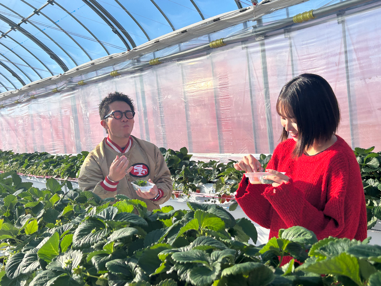 ≪岐阜・各務ヶ原×いちご狩り≫2024年12月New open！！珍しい白いちご