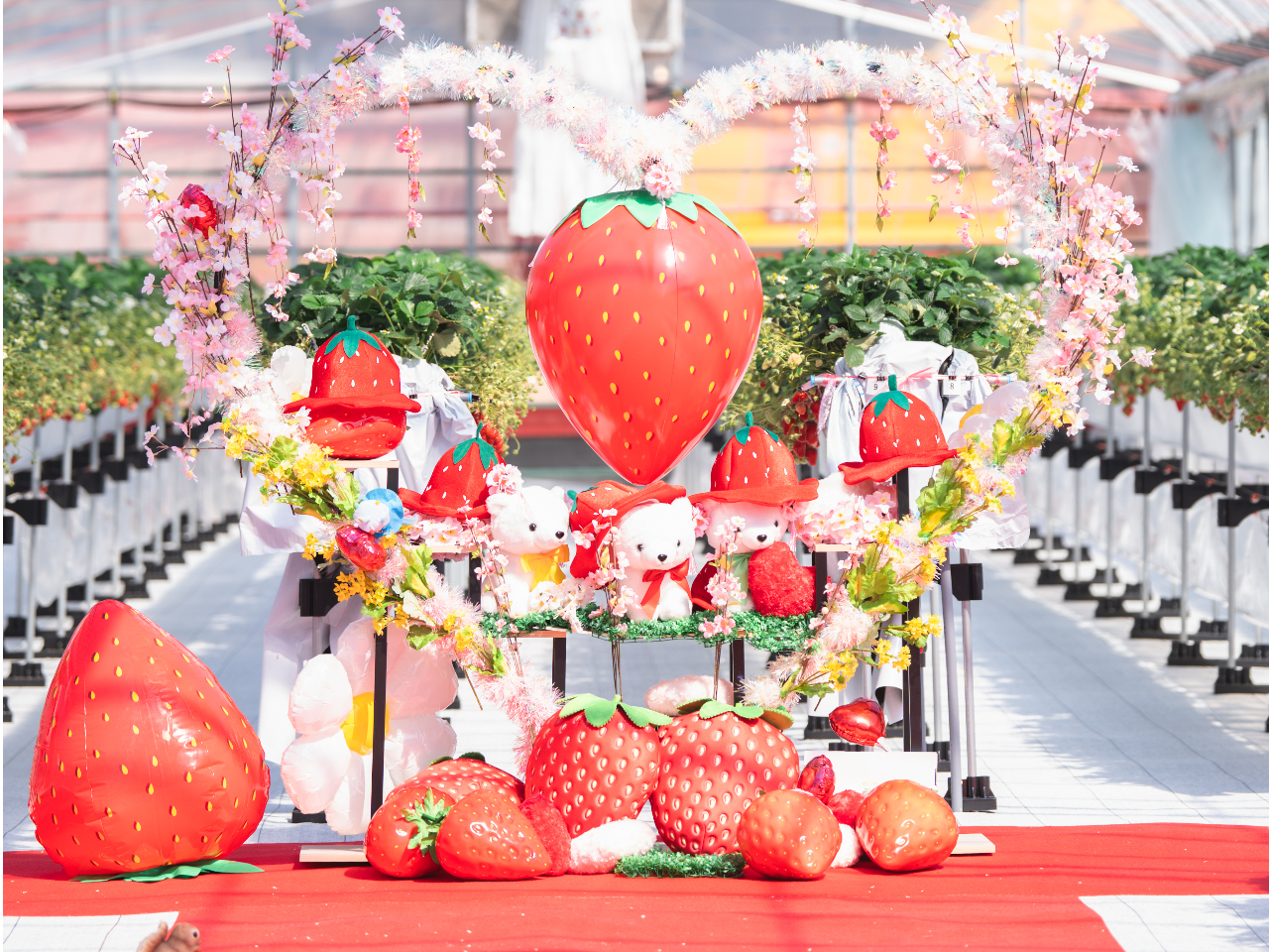 【激レア!レーン貸切いちご狩り!】2024年12月New openの綺麗な施設。...