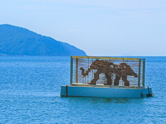 瀬戸芸 粟島での作品 日比野勝彦さんの作品