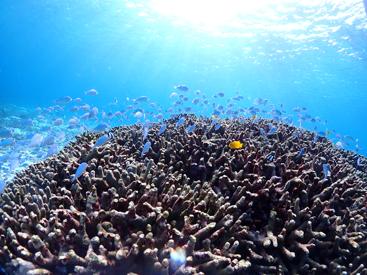 �M�ы��̌Q��ɂ������I