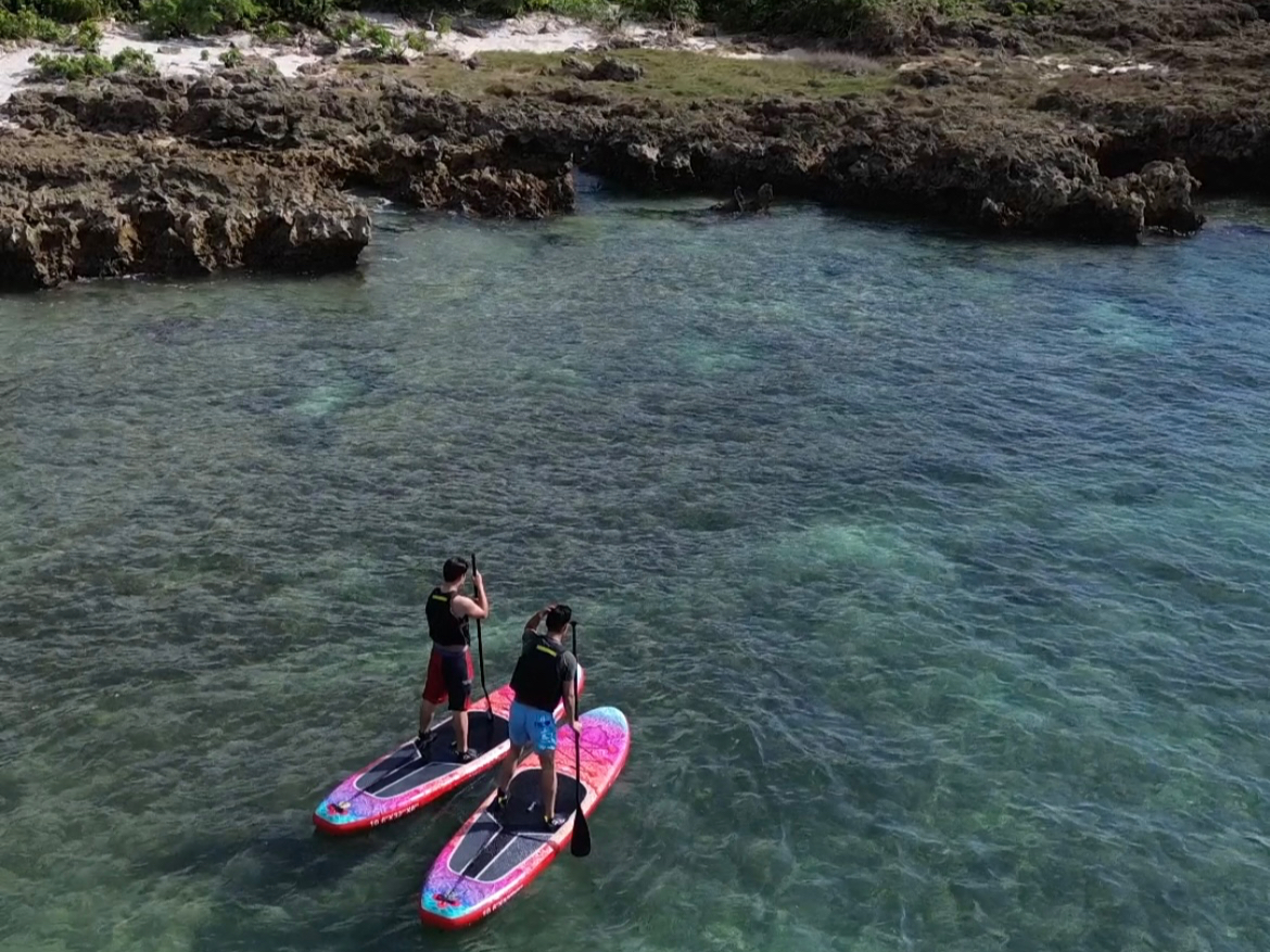 �S�f�[�^�����v���[���g�I