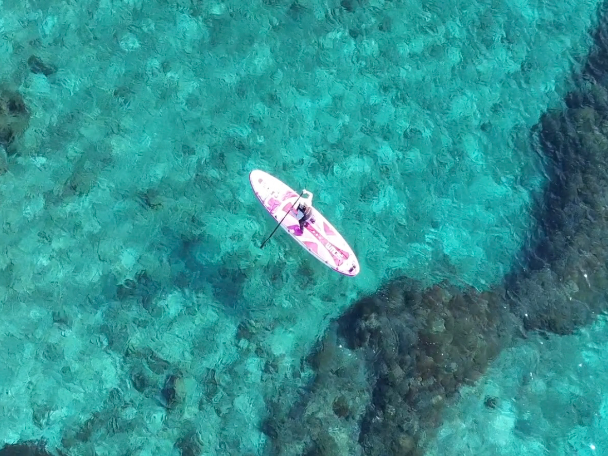 �h���[���B�e������I�I