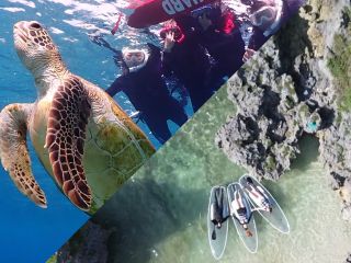 大人気ウミガメシュノーケリング×クリアSUP贅沢セットプラン!