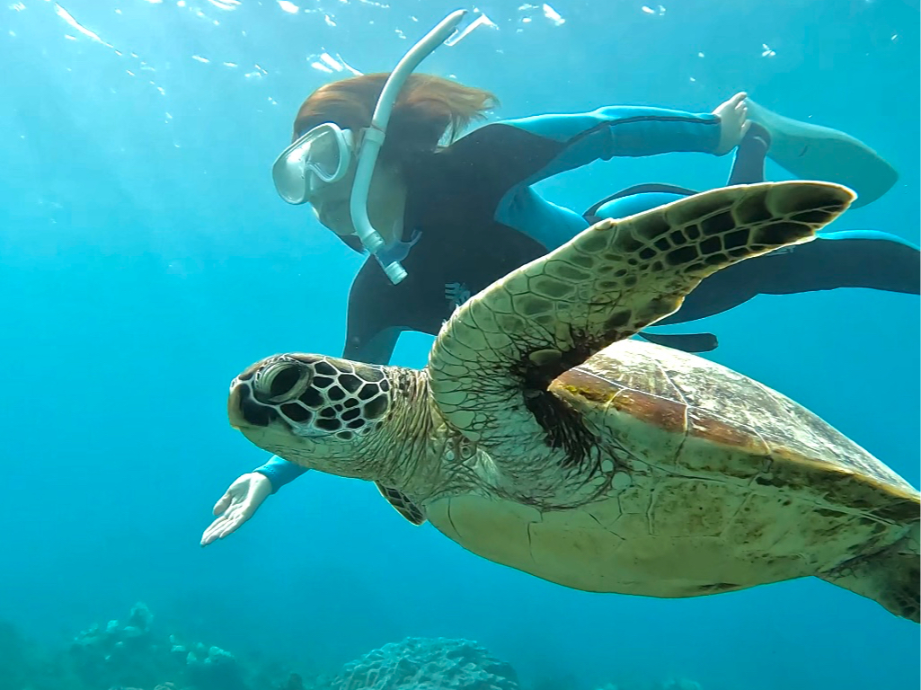 99%mŃE~KɑIŐVGoProŃvBe&v[gI