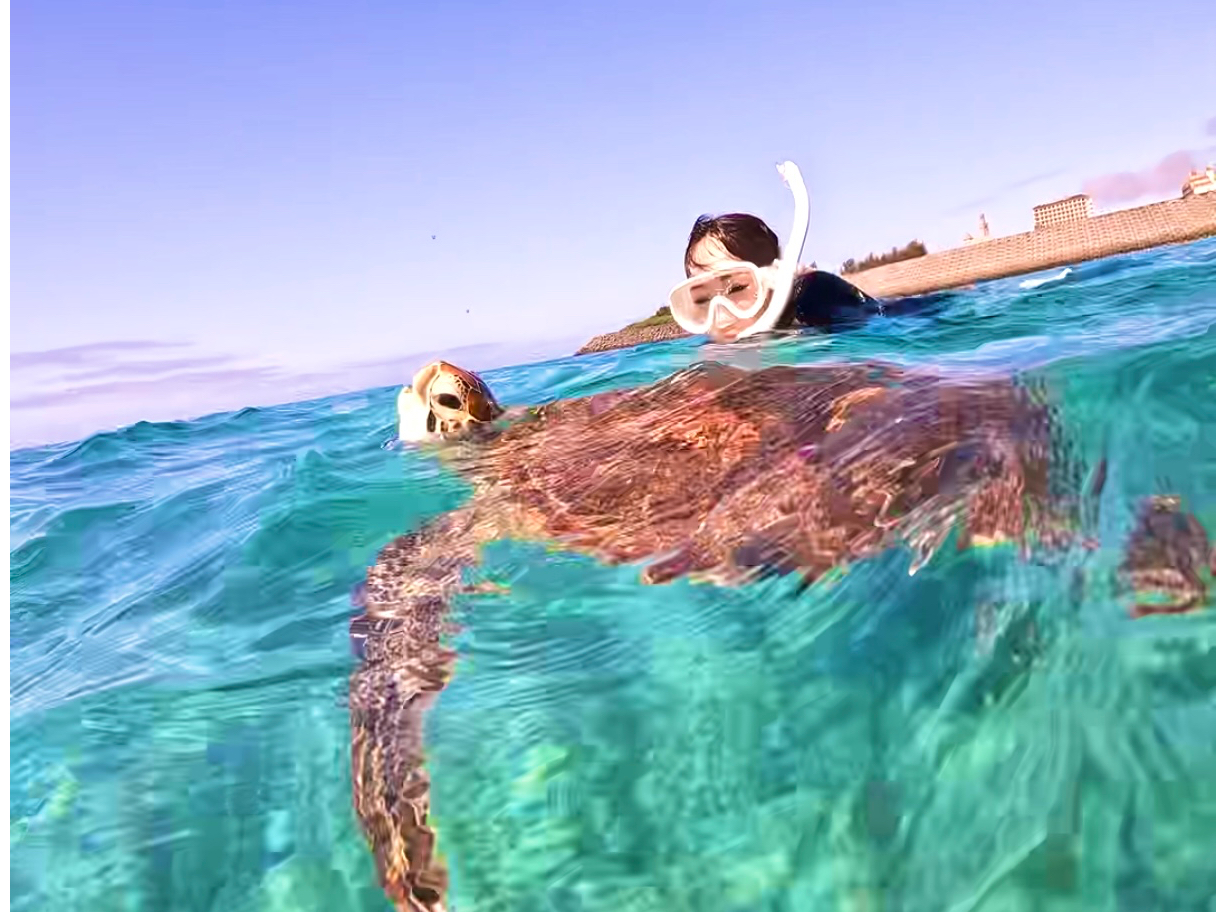 99%���m���ŃE�~�K���ɑ����I�ŐVGoPro�Ńv�����B�e&�����v���[���g�I