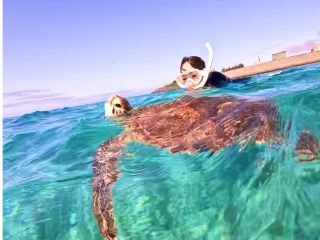 99%高確率でウミガメに遭遇!最新GoProでプロが撮影&無料プレゼント!