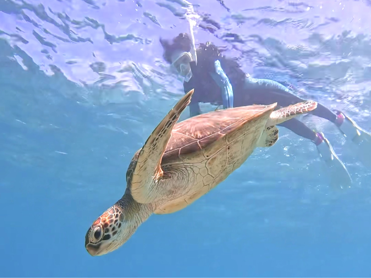 ���߂����ƋL�O�B�e�I