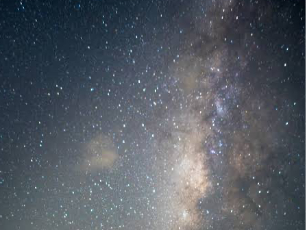 VCǂΖ_̐ĂHɂēV̐܂I