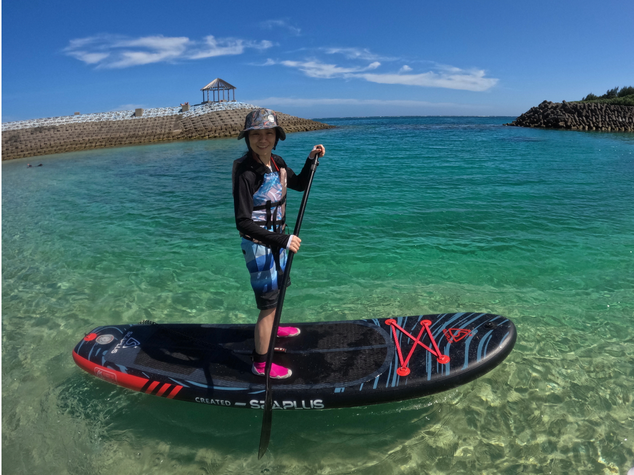 lCSUPcA[IŐVGoProŃvBe&v[gI