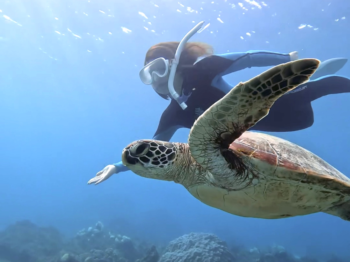 ŐVGoProŃcA[fBeIʐ^v[gI