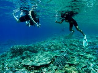 綺麗なサンゴ礁が広がる海をお楽しみください♪