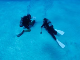 初めてでも安心♪体験ダイビング!