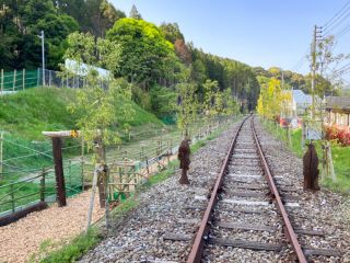 線路で飲食ができる 日本唯一のキャンプ場です。フォレストアドベンチャーと隣接し、周りに楽しめる施設がたくさんあります。夜はフクロウの声が聴けます。