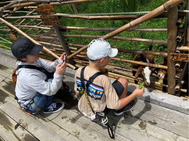 隣接する森には、フォレスト牧場があり、トカラヤギに触れ合うことができます。エサもあげれます(入場1人300円)