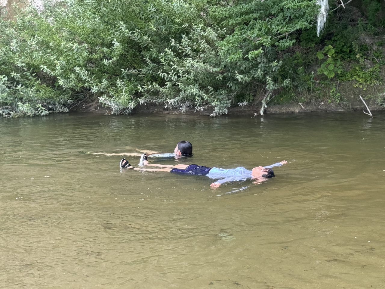 テントサウナの目の前の清流にダイブ!!海や湖と違って水が綺麗で冷たい!