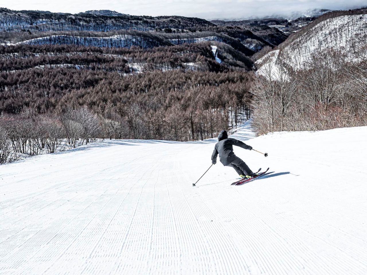 オルショウスキー　プーさん コブ＆パーク専門スクール】プロスキーヤー遠藤夏樹による星野リゾート