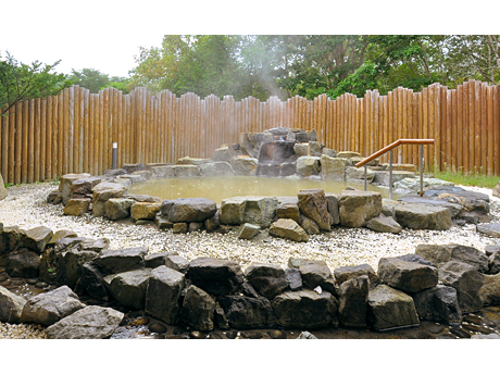 �I�V���C �؁X�̂����߂��Ɠ��R�̂悤�ɓ���ފ�X�B���R�𔧂Ŋ�������悤�ȊJ�����̂���I�V���C�ł��B