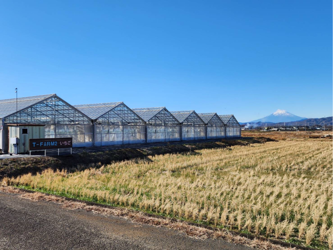 K̓nEXɂăC`S͔|Ă܂B