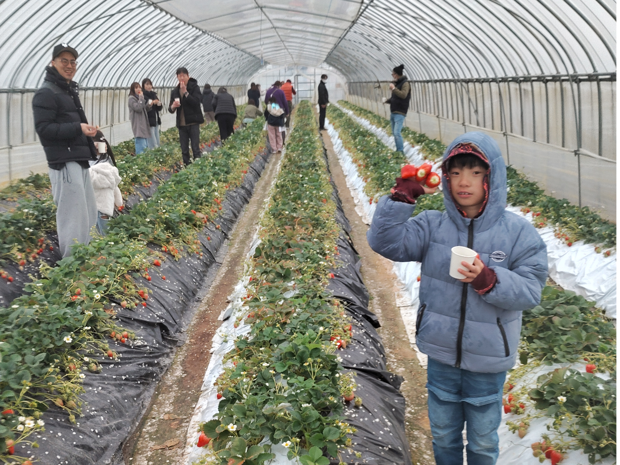 3���ڂ�������蒆