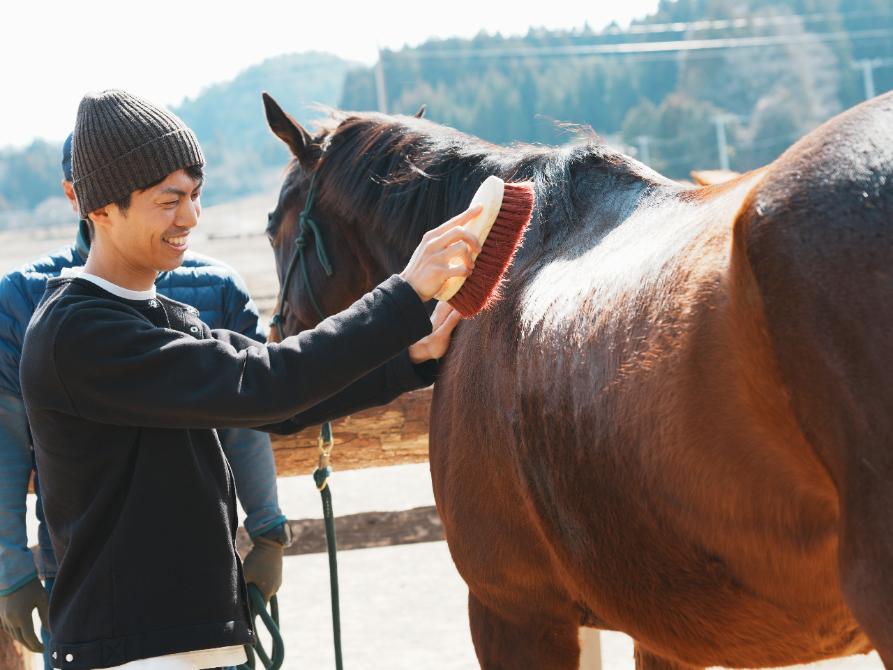 はじめてでもOK♪馬とたっぷり触れ合える乗馬体験/ノーマ・ホース