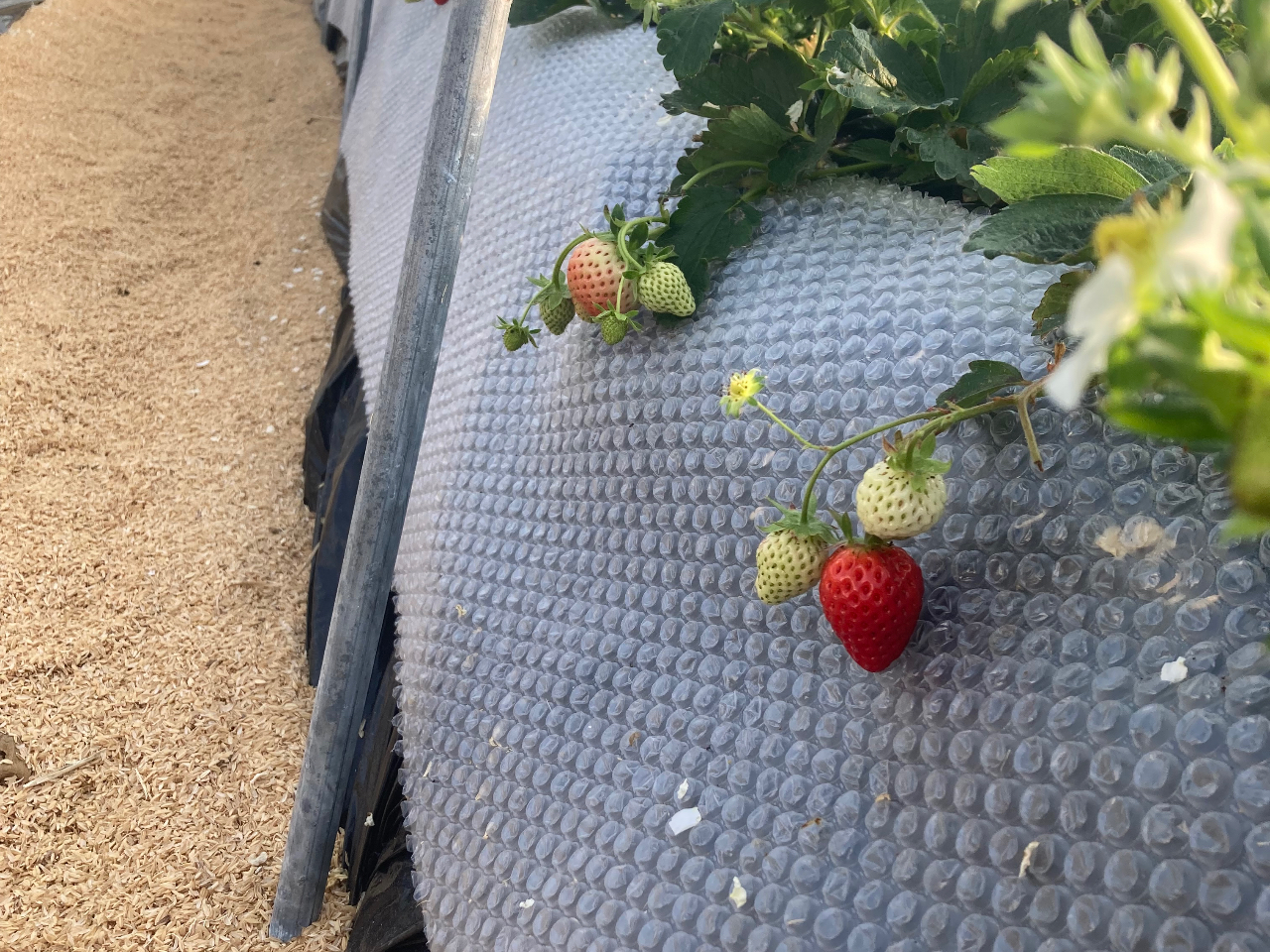 �y�k������܂�