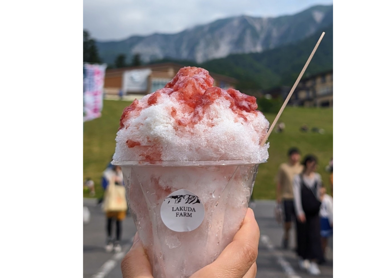 ��l�C�������̃J�L�X