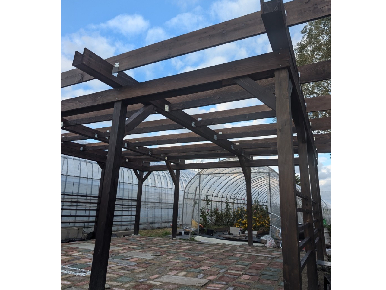 �x�e�X�y�[�X