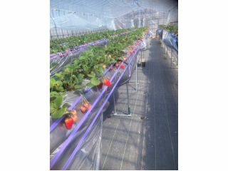 初めまして!楽田農園です!