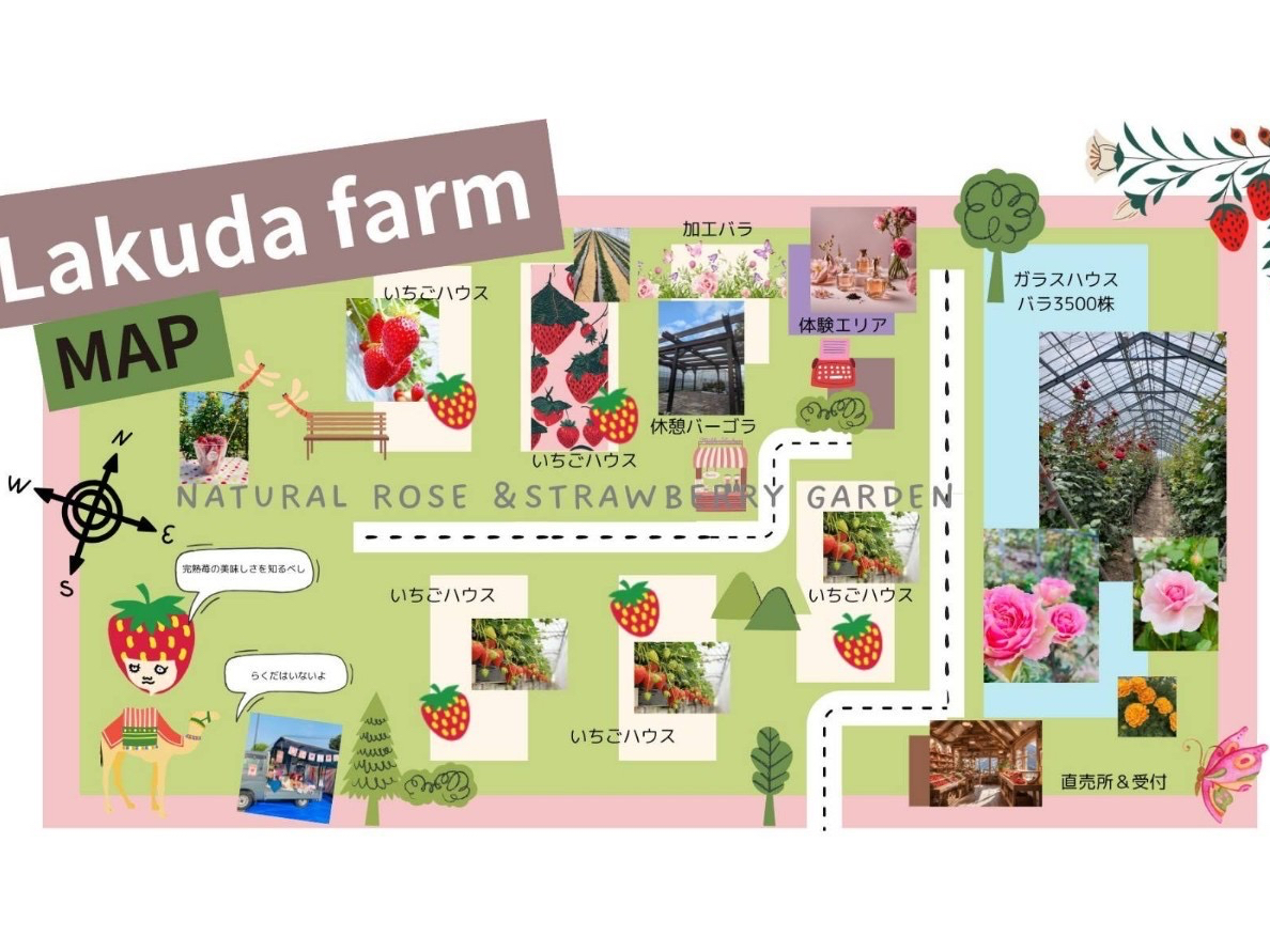 �_���}�b�v