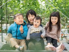 甘み旨み豊かな宮トマトをお腹いっぱい、時間いっぱい食べられる!家族連れにもおススメです。なかなかない!ミニトマト狩りです。こだわりの宮トマトをご堪能ください。
