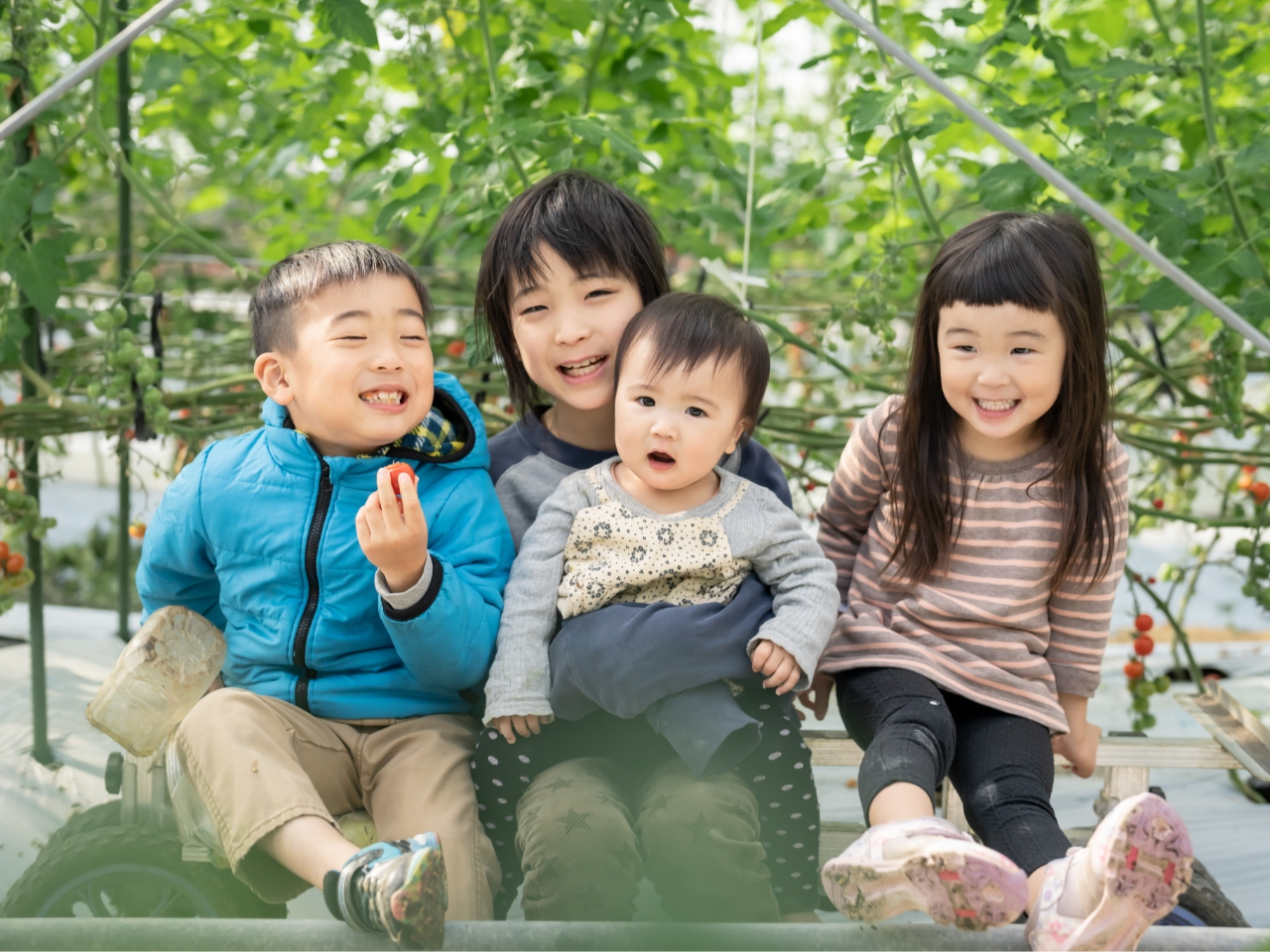 Âݎ|ݖLȋ{g}gςAԂςHׂIƑAɂXXłBȂȂȂI~jg}głB̋{g}g\B