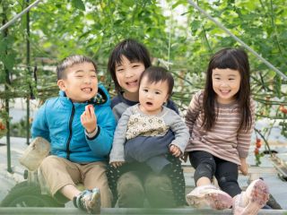 甘み旨み豊かな宮トマトをお腹いっぱい、時間いっぱい食べられる!家族連れにもおススメです。なかなかない!ミニトマト狩りです。こだわりの宮トマトをご堪能ください。