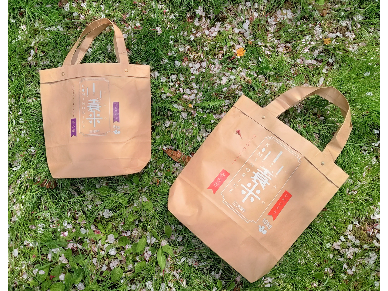 ���������g�[�g�͓��������A��OK