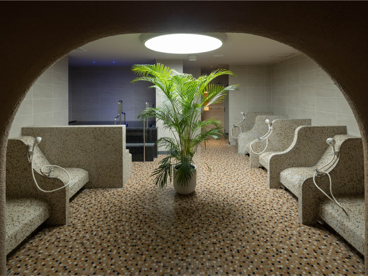 �m�p�e�B�I�n�j���嗁����ɂ̓h���C�T�E�i�������B���[�}�̃X�p��f�i�Ƃ�����p�e�B�I�łƂƂ̂����Ƃ��ł��܂��B