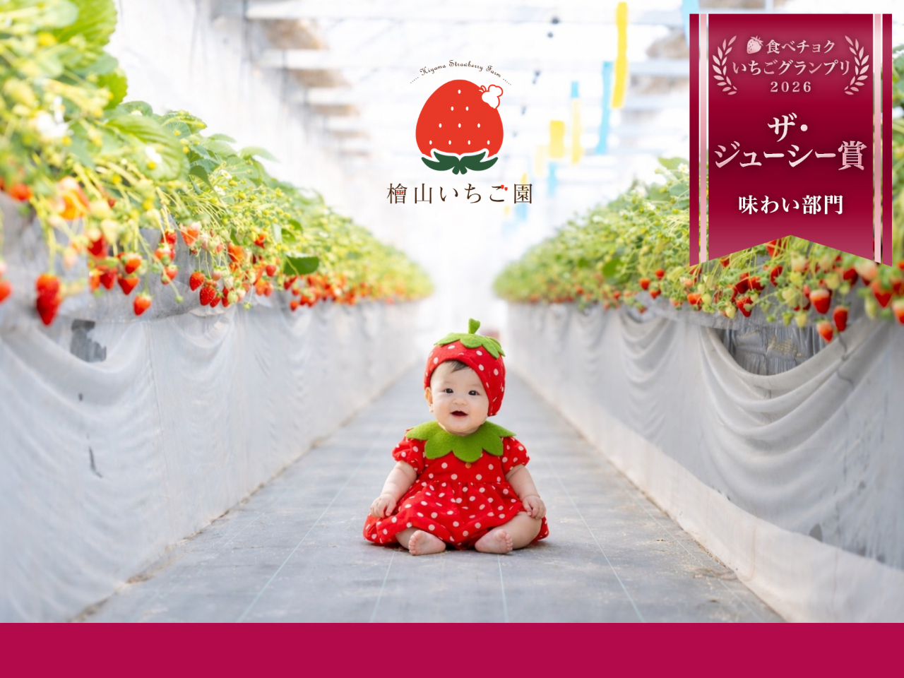�y1���E2���z�_������10���T�[�r�X�E���ʃv�����I�^�y��錧�k�z����������U��ސH�ה�ׁI�t�@�~���[�E�J�b�v�� �������߁I���������I�I