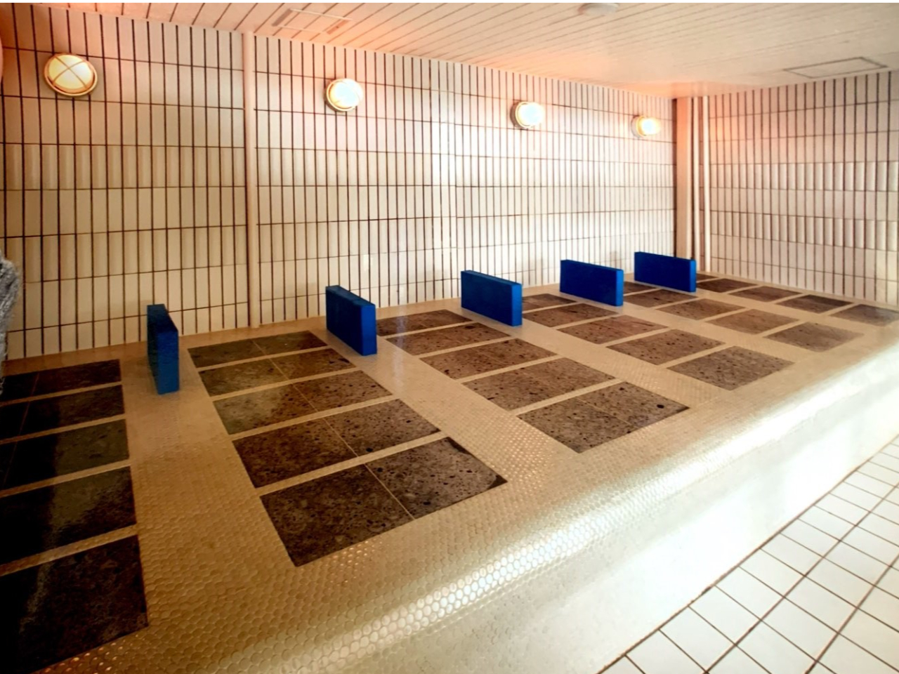 �����T�E�i�ɉ����Ċ�՗��A���T�E�i������̂��Z�g�X�p�̖��́�