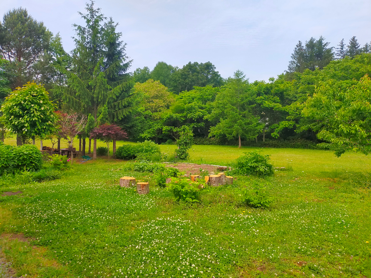 Nature Nest̗ւłƁAȌiFłI