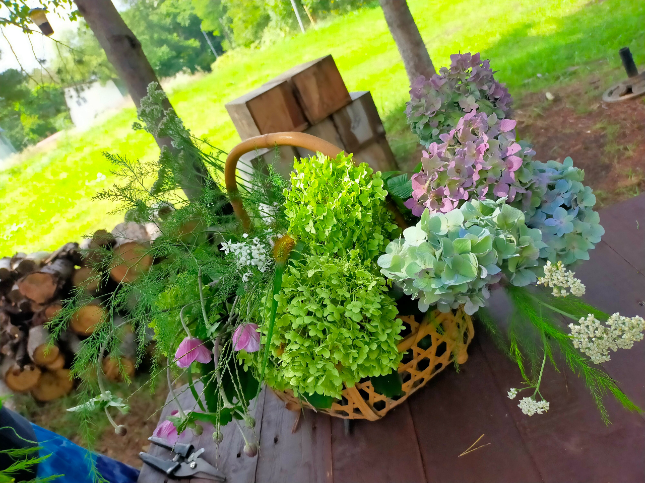 tHɂāAFXȂԂy܂Ă܂BꏏɃK[f̂ԂŃ[XȂĂłH