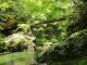 小田深山渓谷の風景。新緑や紅葉時期は圧巻です!