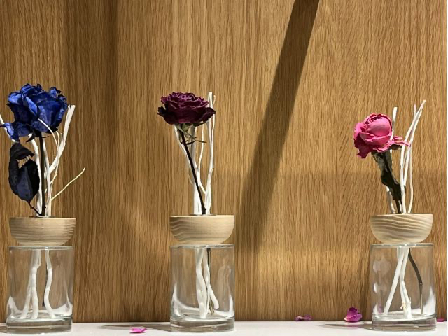 fBt[U[XeBbN3{AhCt[PցAfBt[U[OXAIWifBt[U[IC100gtĂ܂B