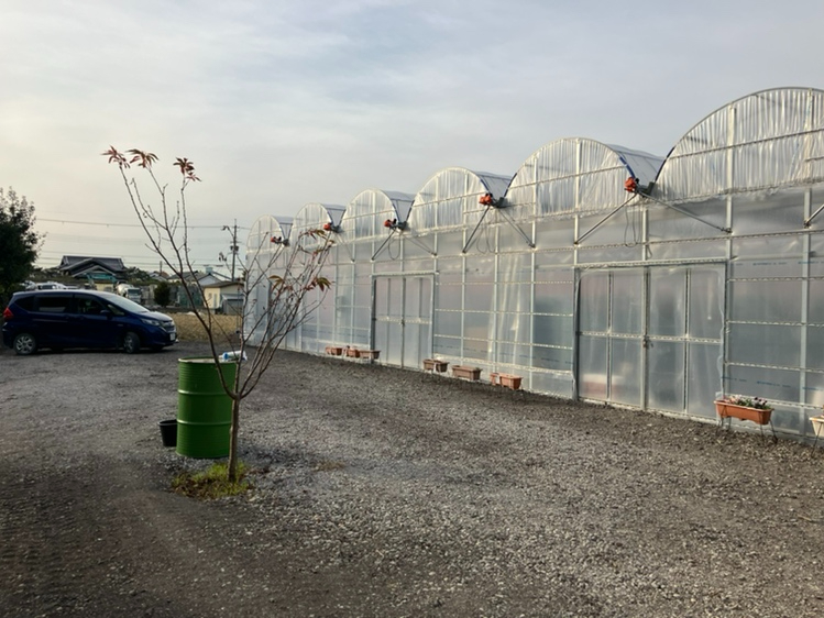 ԏꂪƂAꂽgC։E񂵂ĂobNł̒Ԃ肢Ă܂BX^bt̎wɂĒԂ肢܂B